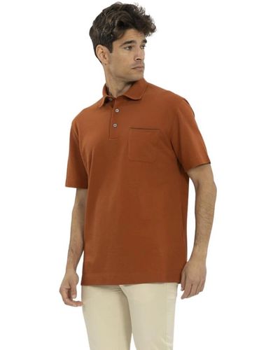 ZEGNA Polo Shirts - Brown