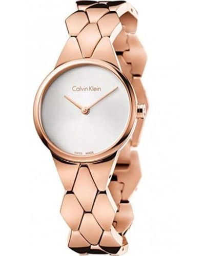Calvin Klein Accessories > watches - Marron