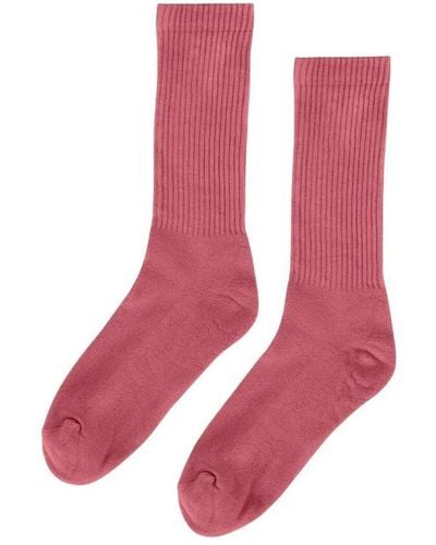 COLORFUL STANDARD Organic active socks - Rosa
