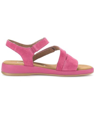 Gabor Rosa wildleder sandale - leichtgewicht - Pink