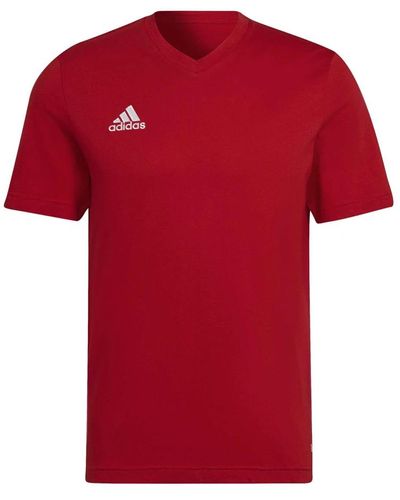 adidas Sport > fitness > training tops > training t-shirts - Rouge