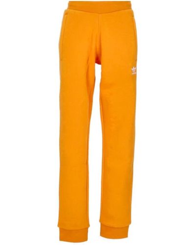 adidas Jogginghose - Orange