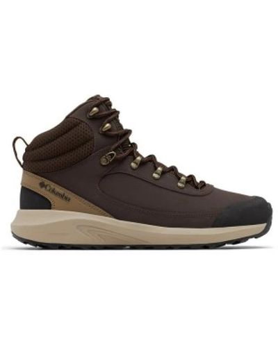 Columbia Shoes > boots > lace-up boots - Marron