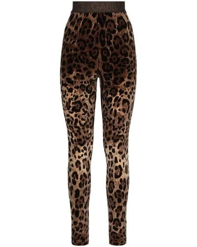 Dolce & Gabbana Leopardenmuster jacquard leggings - Braun