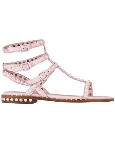 Ash Flat Sandals - Pink