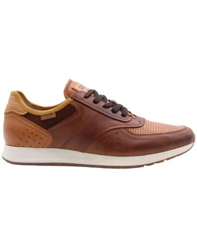 Pikolinos Trainers - Brown