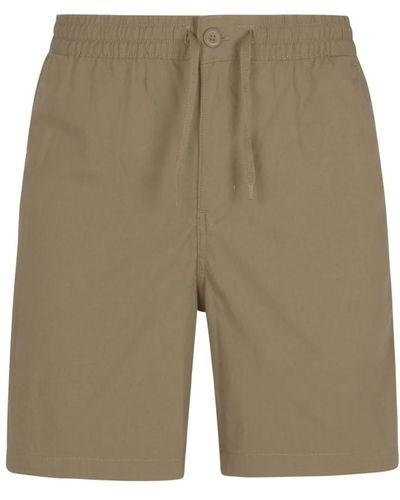Patagonia Shorts > casual shorts - Vert