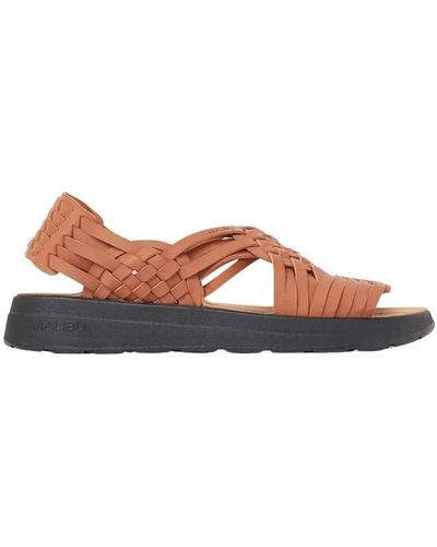 Malibu Sandals Shoes > sandals > flat sandals - Marron
