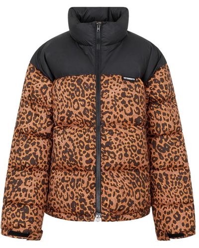 Vetements Jackets > winter jackets - Marron