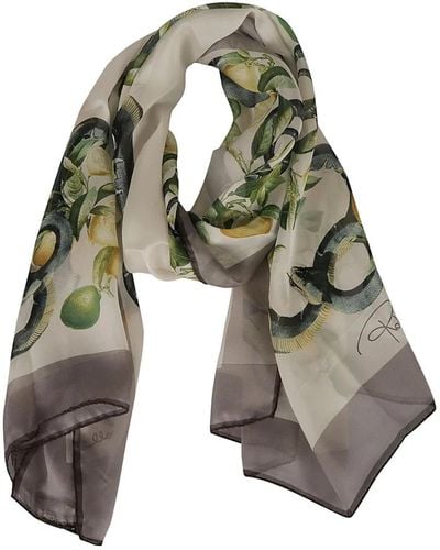 Roberto Cavalli Accessories > scarves > silky scarves - Vert
