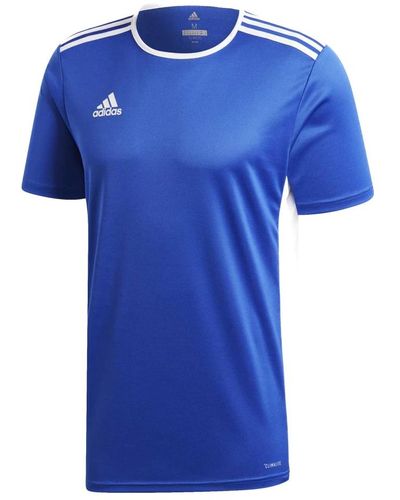 adidas T-shirt entrada 18 jsy königlich blau