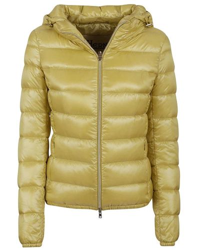 Herno Down Jackets - Green