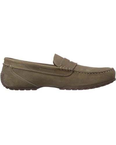 Camel Active Loafers - Marrone