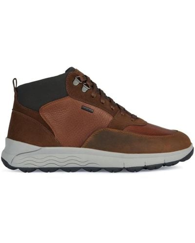 Geox Trainers - Brown