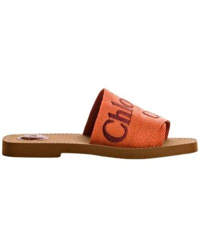 Chloé Shoes > flip flops & sliders > sliders - Marron