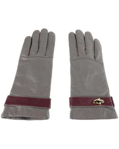 Class Roberto Cavalli Gloves - Grey
