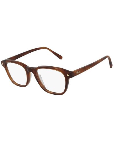 Brioni Glasses - Brown