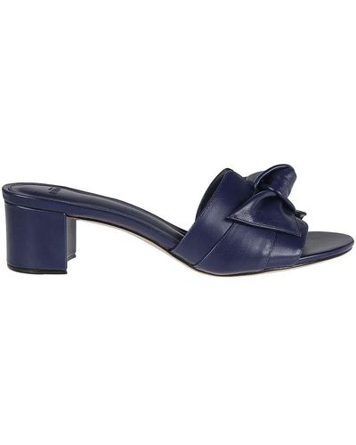 Alexandre Birman Shoes > heels > heeled mules - Bleu
