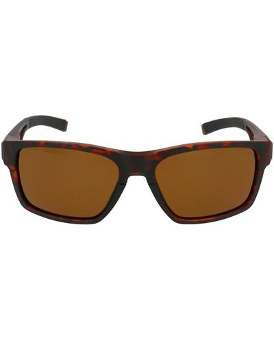 Smith Sunglasses - Brown