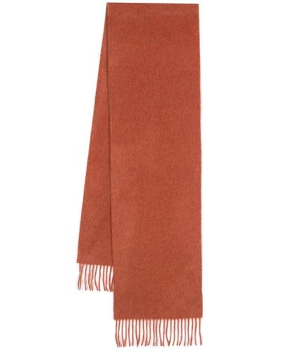 PS by Paul Smith Accessories > scarves > winter scarves - Marron