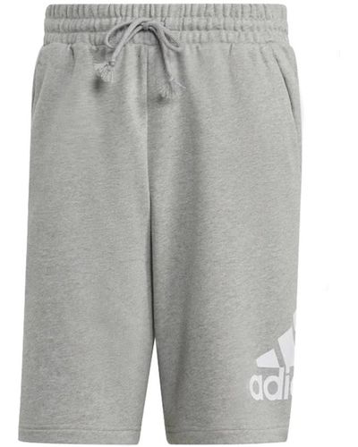 adidas Shorts > casual shorts - Gris