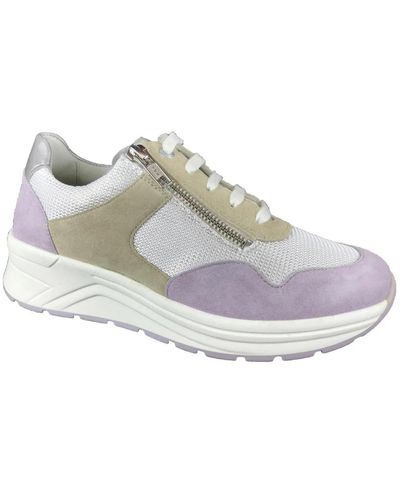 SOLIDUS Scarpe sneaker - Grigio