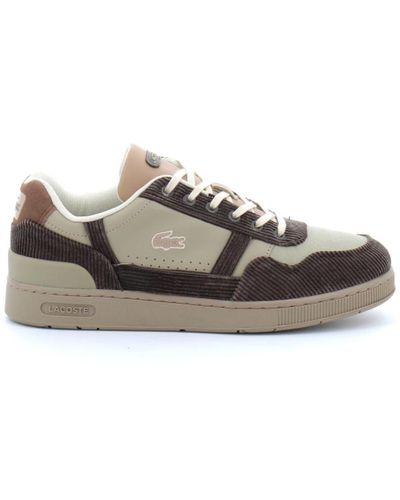 Lacoste Shoes > sneakers - Gris