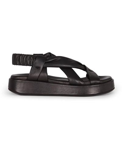 Cortana Shoes > sandals > flat sandals - Noir