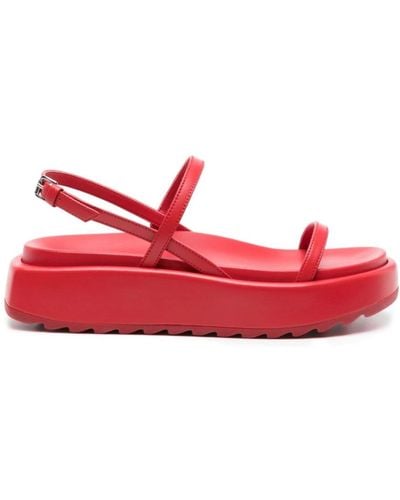 Plan C Flat Sandals - Red
