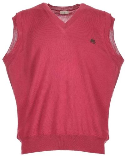 Etro V-Neck Knitwear - Pink
