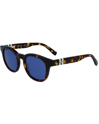 Lacoste L6006s sonnenbrille, dunkel havana/blau