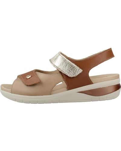 Pitillos Shoes > sandals > flat sandals - Marron