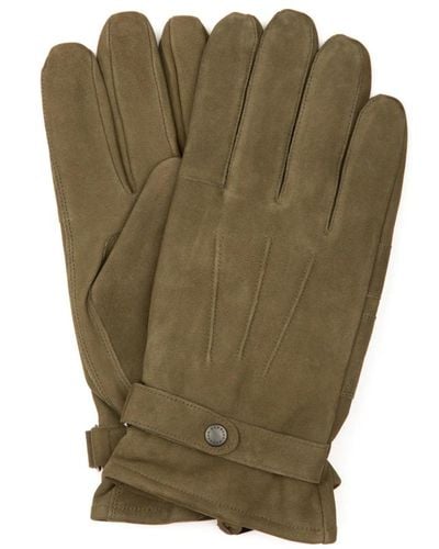 Barbour Gloves - Grün