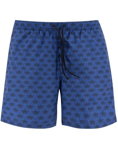 Drumohr Swimwear > beachwear - Bleu