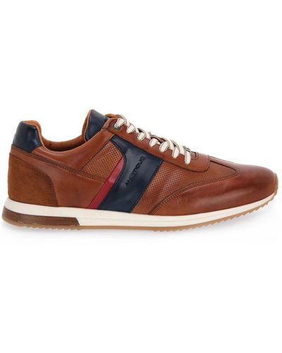 Ambitious Trainers - Brown