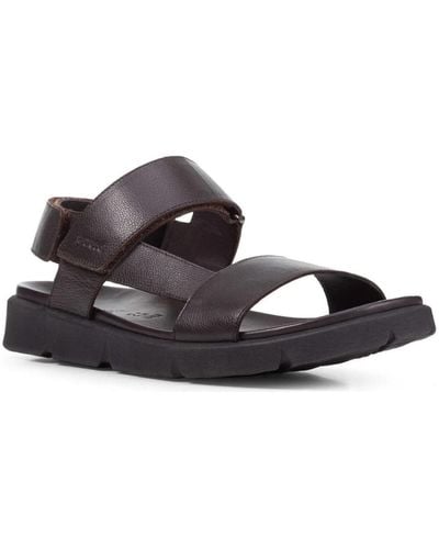 Geox Flat Sandals - Braun