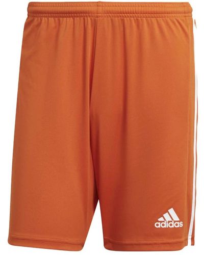 adidas Sport > fitness > training bottoms > training shorts - Orange