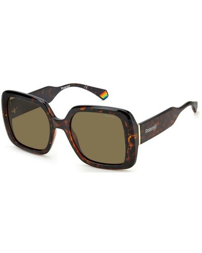 Polaroid Sunglasses - Brown