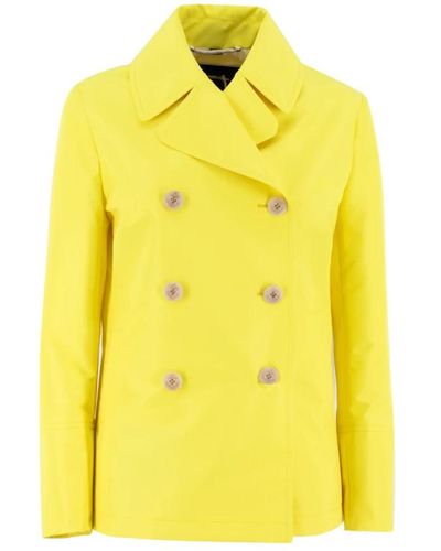 Sealup Blazers - Amarillo