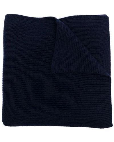 Ralph Lauren Accessories > scarves > winter scarves - Bleu