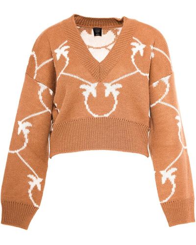 Pinko Sweater - Marron