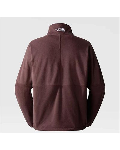 The North Face Stylischer hoodie - Braun