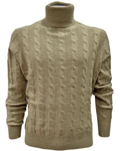 Cashmere Company Knitwear > turtlenecks - Vert