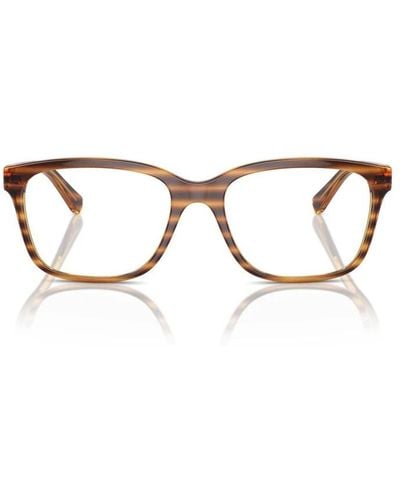 Vogue Glasses - Brown
