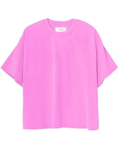 Xirena Tops > t-shirts - Rose
