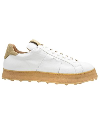 Ernesto Dolani Shoes > sneakers - Blanc