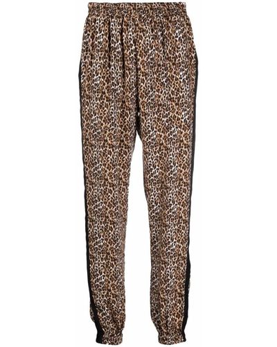Gold Hawk Tapered Trousers - Brown