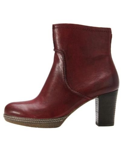 Gabor Ankle boots - Viola