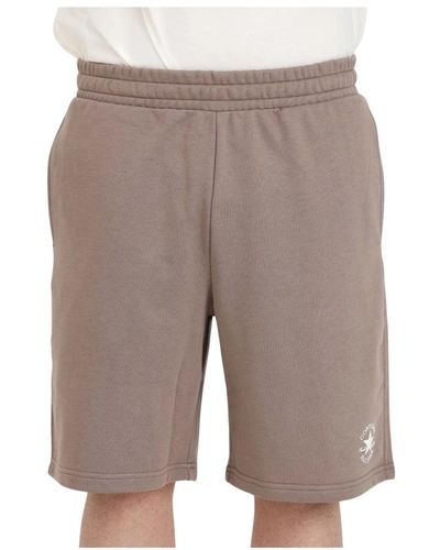 Converse Shorts > casual shorts - Gris