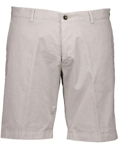 Berwich Shorts > casual shorts - Gris